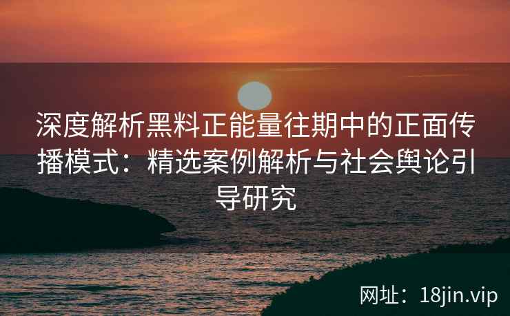 深度解析黑料正能量往期中的正面传播模式：精选案例解析与社会舆论引导研究