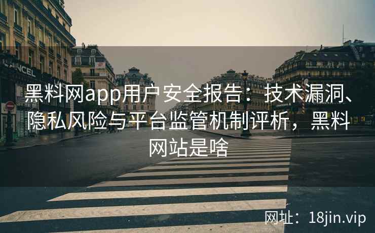 黑料网app用户安全报告：技术漏洞、隐私风险与平台监管机制评析，黑料网站是啥